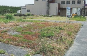 売土地 四倉町字東三丁目 5,500万円