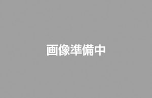売土地  平字胡摩沢　1,200万円